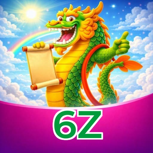 Termos e Condições Transparentes 6Z